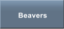 Beavers